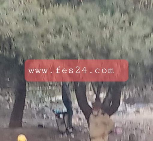 Photo of رجل ينهي مشوار حياته بالانتحار شنقا عند غصن شجرة