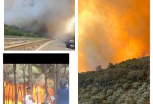Photo of النيران تلتهم غابات و حقول باقليم تازة و العرائش